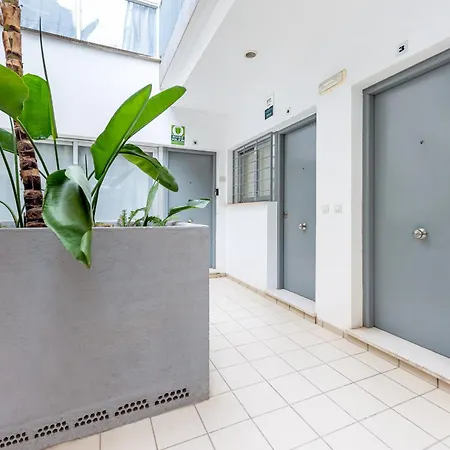 Vivendos - Ma17 - Trinidad Apartment